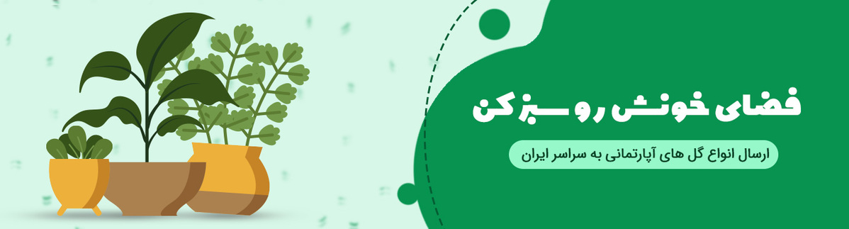 گل آپارتمانی گل آپارتمانی