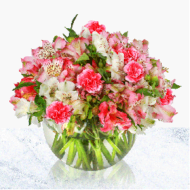 سفارش آنلاین گلدان گل نیکو