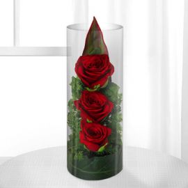 سفارش تنگ رز قرمز ۳ تایی | گل بازار