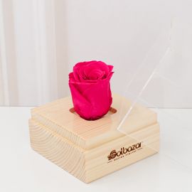 رز جاودان سرخ آبی