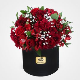 کالر باکس قرمز