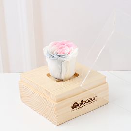 باکس رز جاودان رویایی