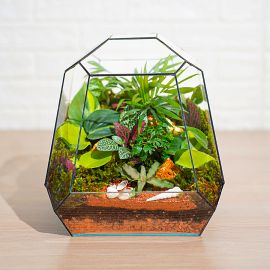  تراریوم چند وجهی الین