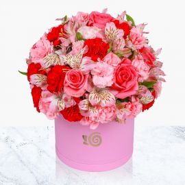 کالر باکس سرخابی | گل بازار