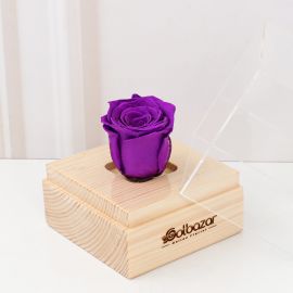 باکس رز جاودان ویولت