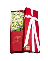 باکس گل نرگس