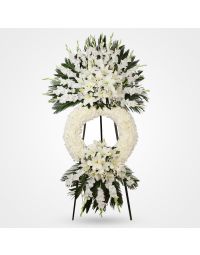 تاج گل گلشن