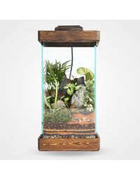 تراریوم دربسته چهارباغ