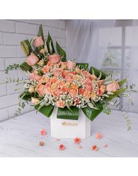 باکس گل ملانی