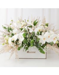 باکس گل ارکیده کیجا