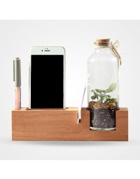 ست اداری تراریوم لونا