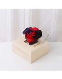 باکس رز جاودان عشق ابدی