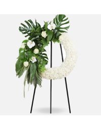 تاج گل مهرزاد