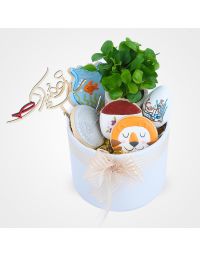 باکس عیدانه نارنج