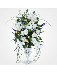 جام گل ارکیده سلطنتی