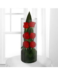 تنگ گل رز قرمز ۶ تایی