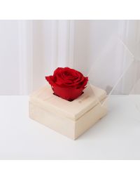 باکس گل رز جاودان قرمز