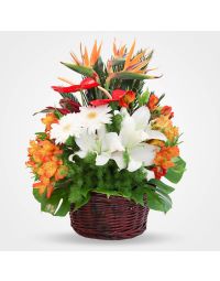 سبد گل استوایی