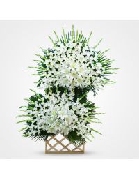 تاج گل دو طبقه سپیدار