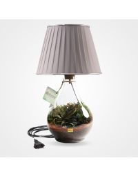 آباژور تراریومی شاینی