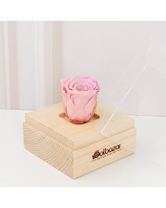 باکس رز جاودان فلامینگو