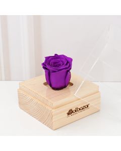 باکس رز جاودان ویولت