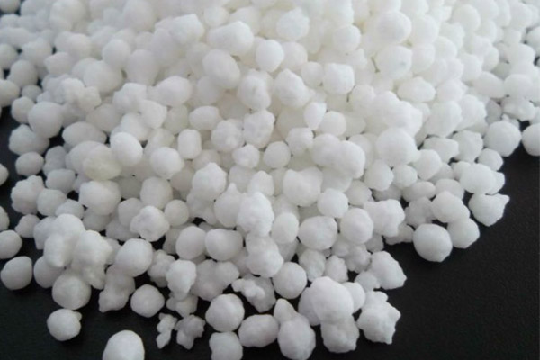 کود ازت برای گیاهان آپارتمانی