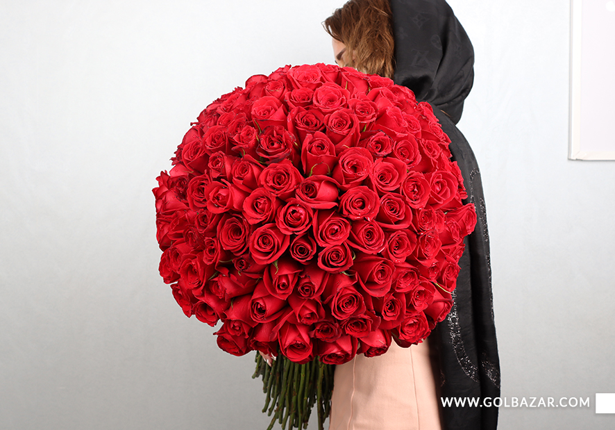 انواع گل رز هلندی