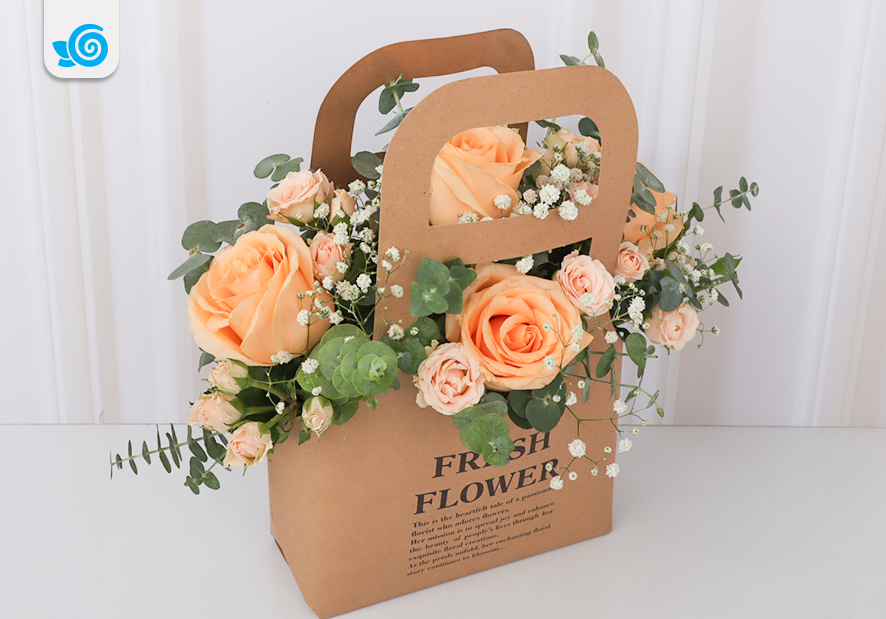 گل رز نباتی هلندی