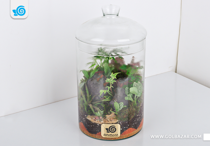 گل برای مادر بزرگ