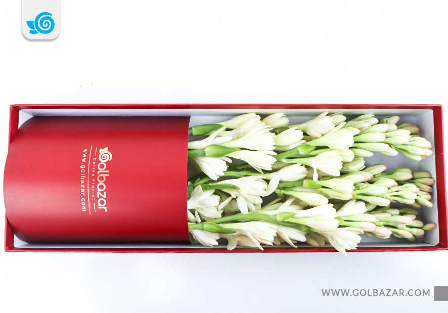 گل برای دوست دختر