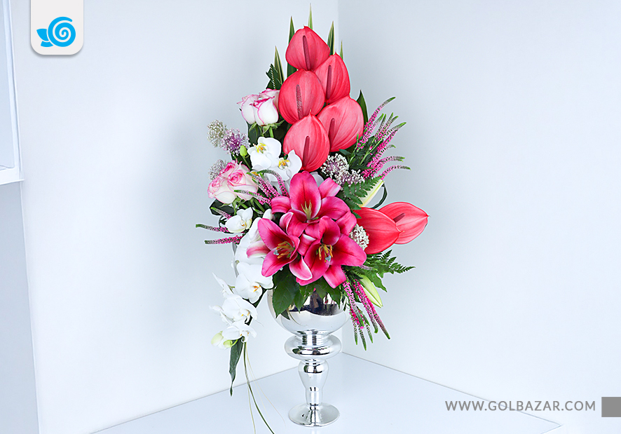 عکس جام گل بله برون