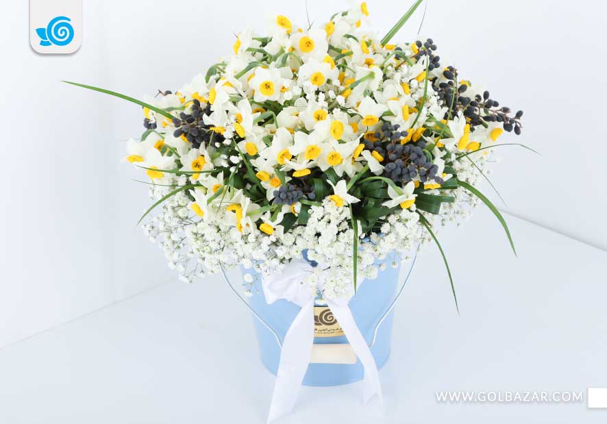 عکس گل برای مریض