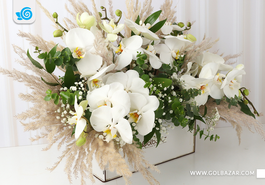 عکس گل برای عیادت از بیمار