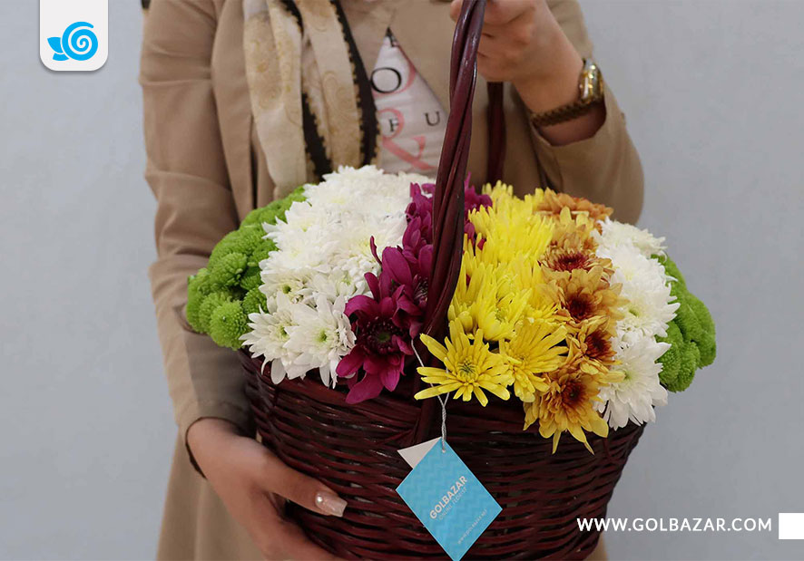 گل های زمستانی و پاییزی- گل داوودی