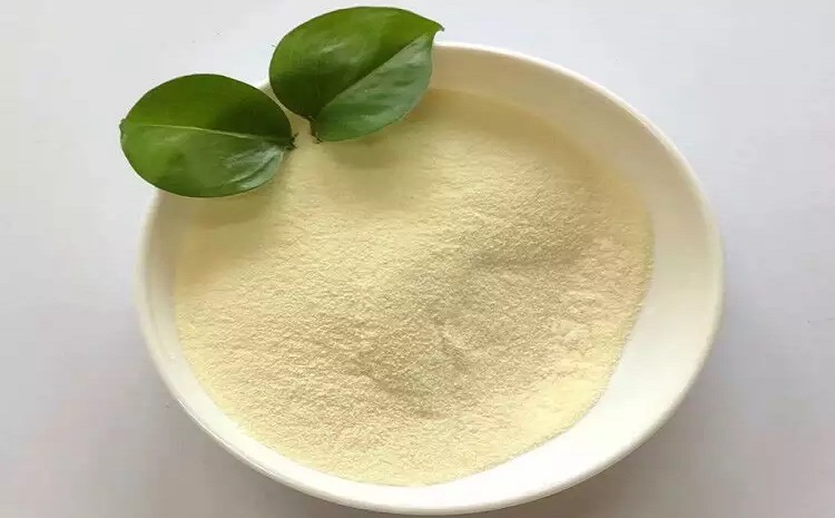 کود آمینو اسید برای گیاهان آپارتمانی