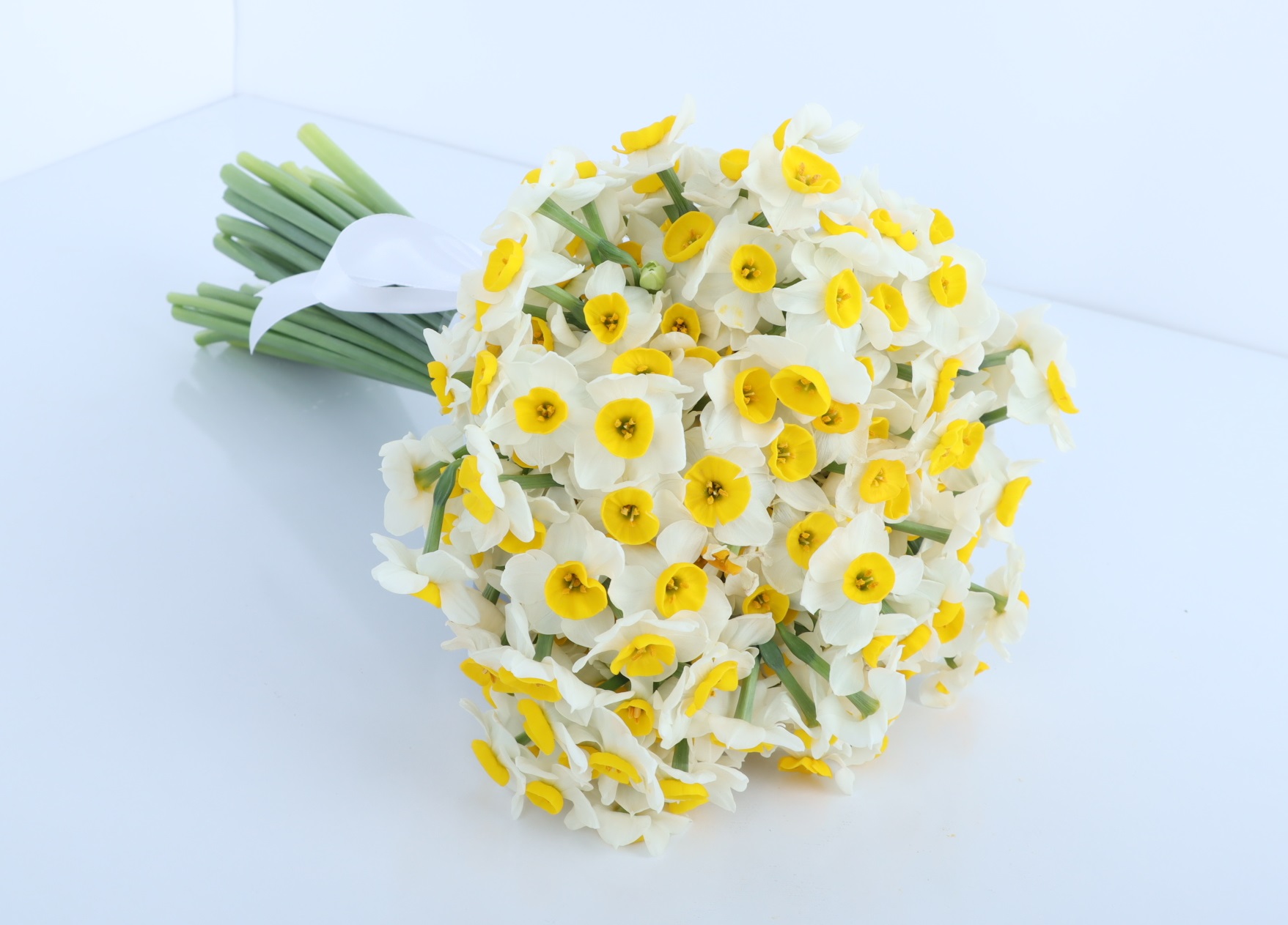 گل ثروت ساز