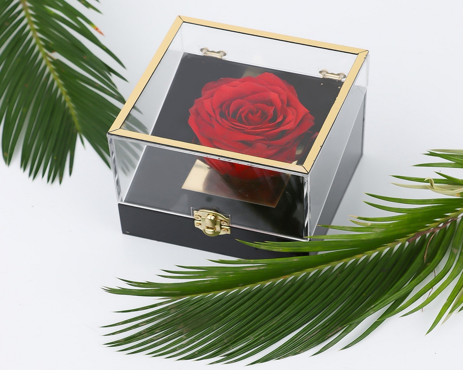 رز جاودان به انگلیسی