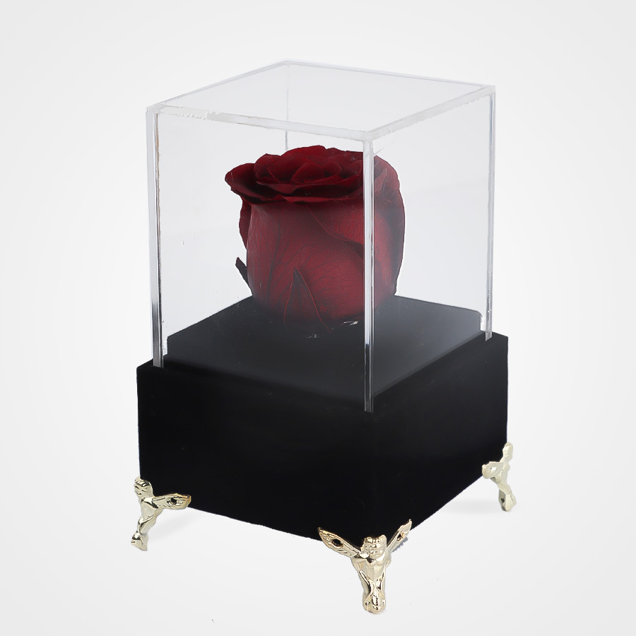 گل رز جاودان برای آقایان