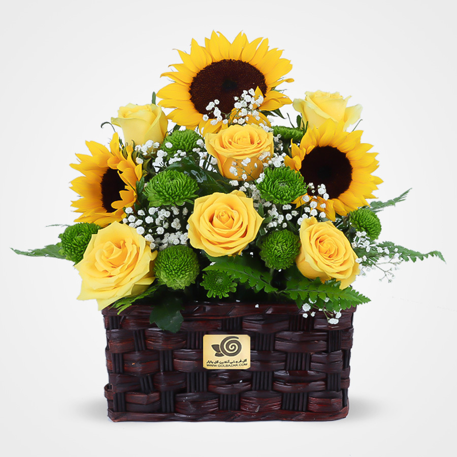 گل برای آقایان