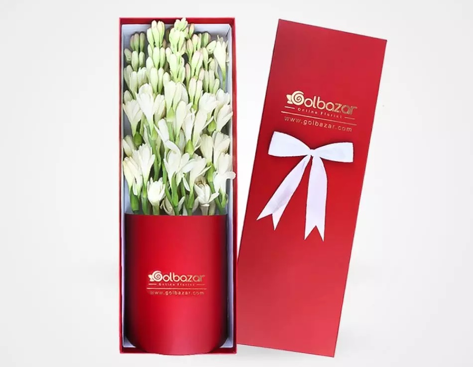 طرز نگهداری گل مریم