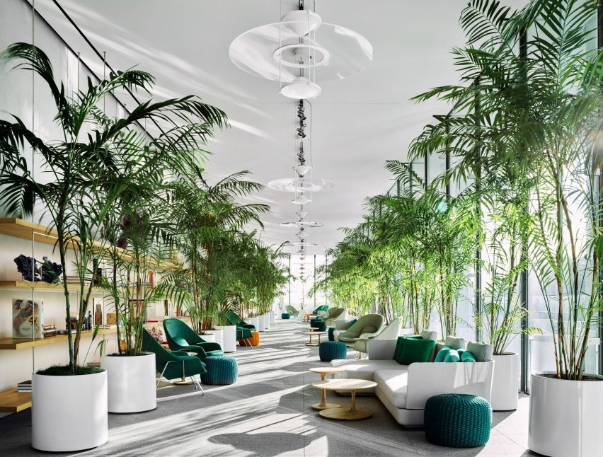 انواع درختچه آپارتمانی