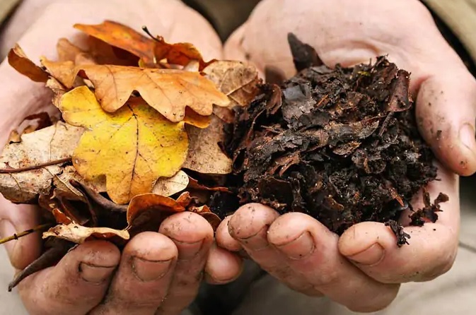 خاک برگ برای گل های آپارتمانی