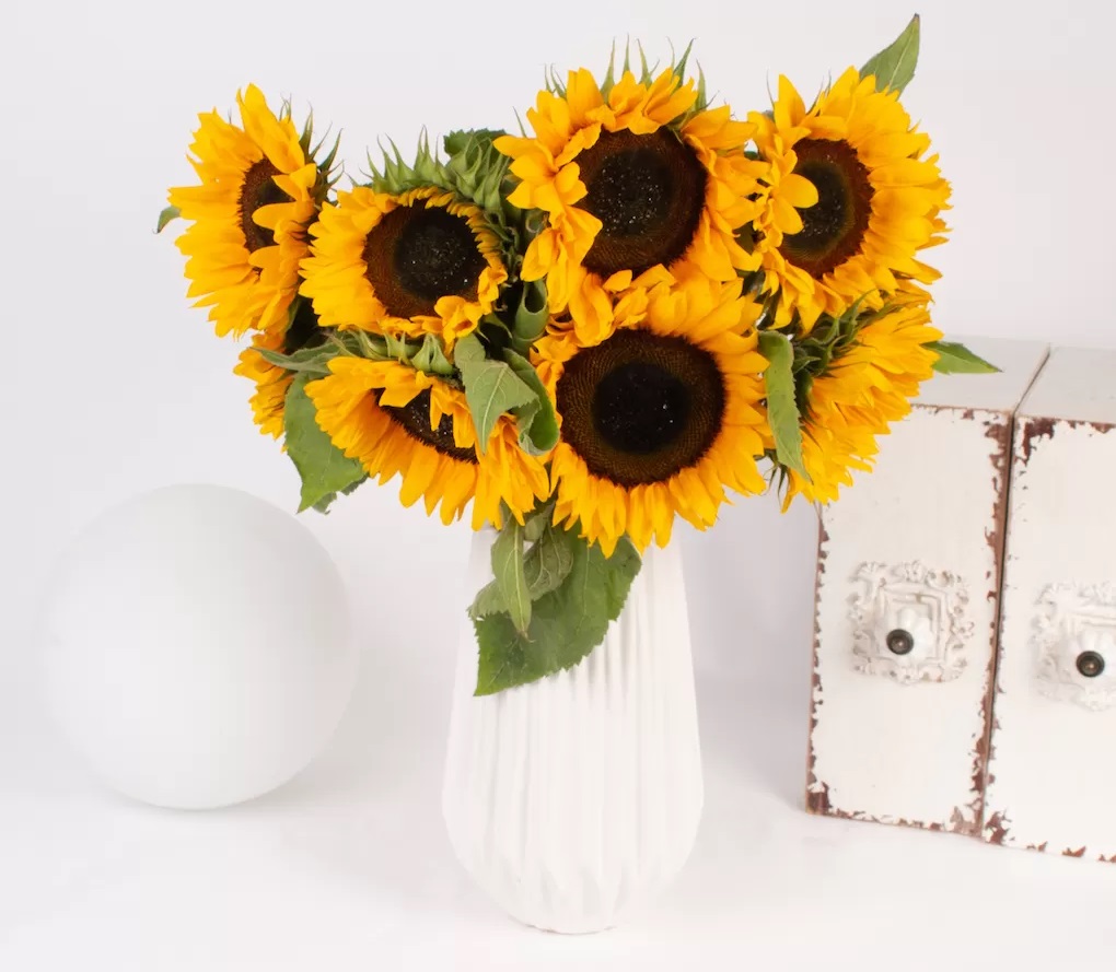 نگهداری گل آفتابگردان در آب