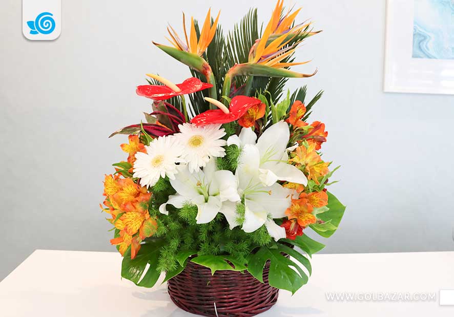 ارسال گل برای دفاع پایان نامه