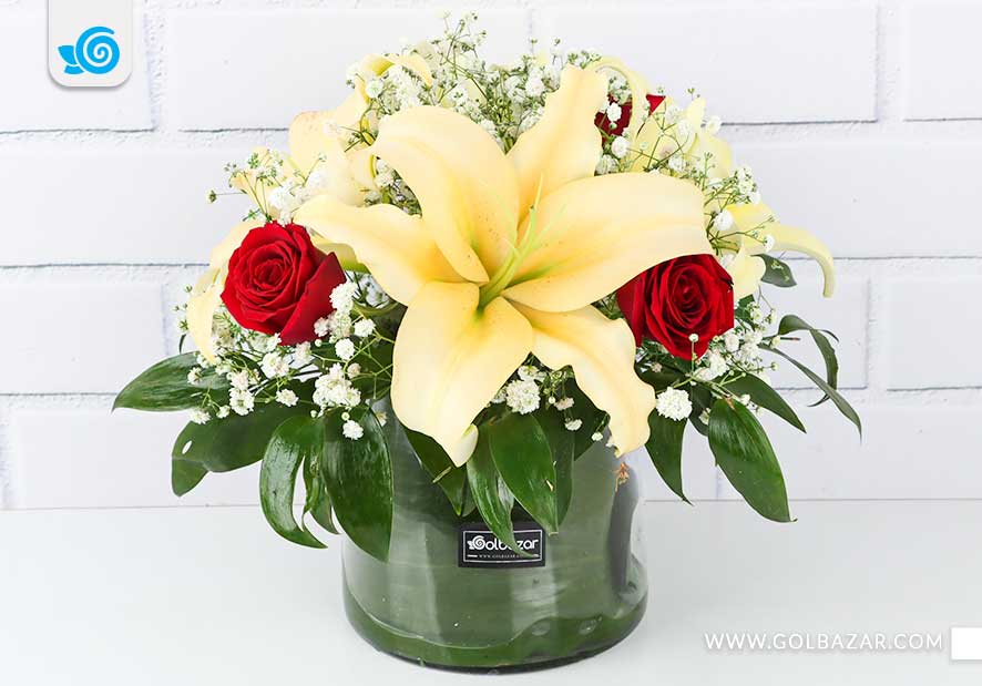 راهنمای خرید گل برای جلسه دفاع پایان نامه