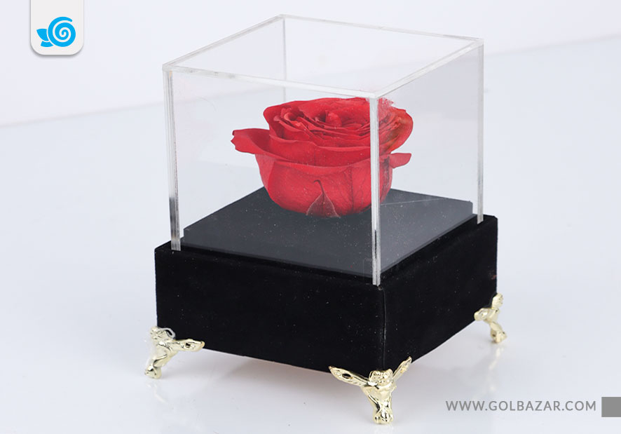 خرید گل برای دیت اول