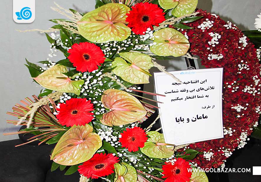 گل برلی نرلسن افتتاحیه