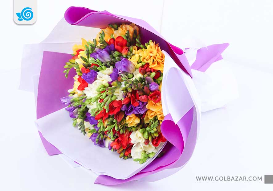 گل فریزیا برای ولنتاین