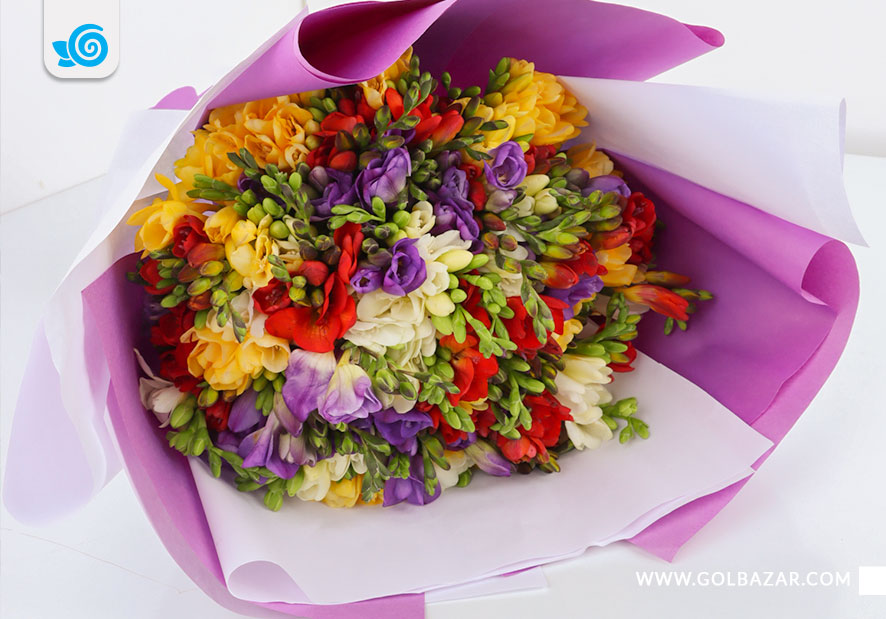 انواع گل گلفروشی زمستانی - گل فریزیا
